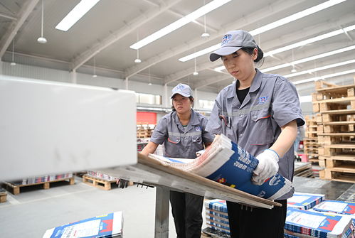 河北元氏 以科技创新为引擎，新材料技术研发驱动产业转型升级