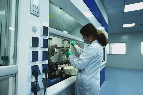 科技创新引领，为石岛高质量发展强基赋能 聚焦集成电路芯片设计及服务