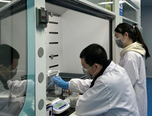 物联网技术研发 新能源新材料产业创新的璀璨引擎